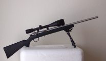 Savage 93R17HMR