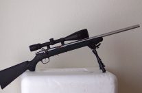 Savage 93R17HMR